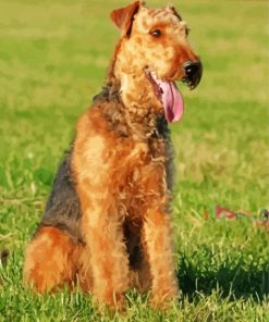 Cute Airedale Terrier Dog paint by numbers