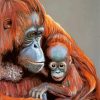 Cute Orangutans paint by number