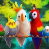 Cute Birds paint by number