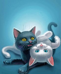 Cute Black And White Cats paint by number