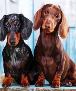 Dachshunds Puppies paint by number