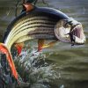 Fishing Tigerfish Art paint by numbers