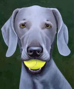 Grey Weimaraner Dog paint by number