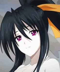 High School Dxd Akeno paint by number