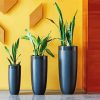 Indoor Plants Pots paint by numbers