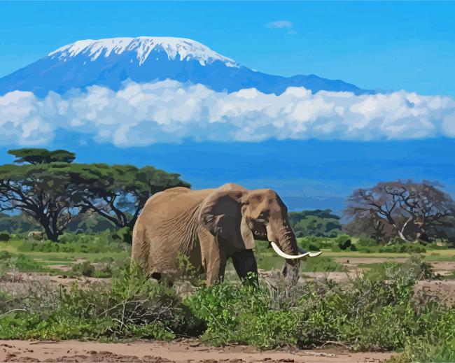 Kilimandjaro Animal paint by numbers