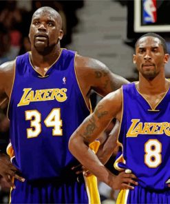 Shaquille O Neal And Kobe Bryant paint by numbers