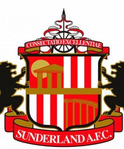 Logo Sunderland AFC paint by numbers