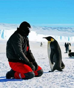 Man And Penguins In Antarctica paint by numbers