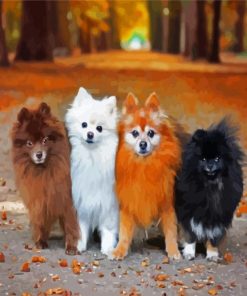 Pomeranian Puppies Dogs paint by number