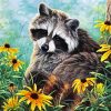 Raccoon Animal paint by number