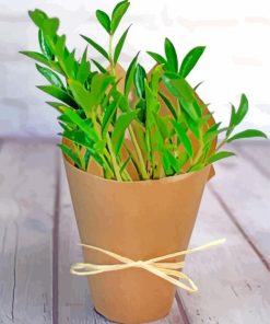 Small Zamioculcas Plants paint by number