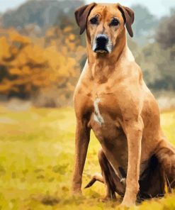 Strong Rhodesian Ridgeback Animal paint by numbers