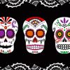 Sugar Skulls Art paint by numbers