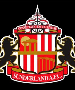 Sunderland AFC Logo paint by number