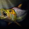 Tigerfish paint by number
