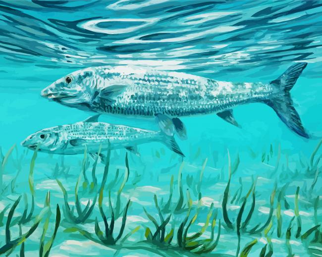Two Bone Fish paint by number