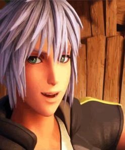 Video Game Riku paint by numbers