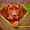 Vizsla Dog paint by numbers