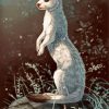 White Stoat Animal paint by numbers