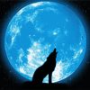 Wolf Howling Silhouette paint by numbers