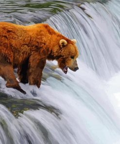 Brown Bear And Waterfall Art paint by numbers