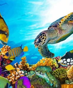 Sea Animals Paint By Numbers paint by numbers