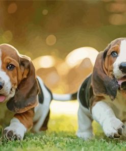 Basset Hounds Puppies paint by numbers