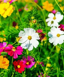 Beautiful Wild Flower Meadow paint by numbers