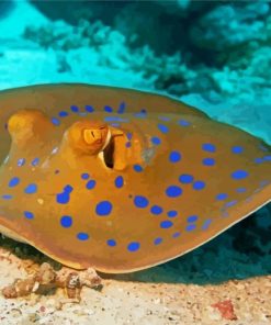 Beautiful Stingray Under Water paint by numbers