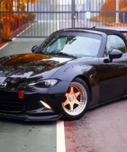 Black Mazda Mx5 Car paint by numbers