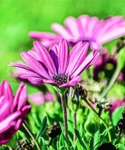 Blommor Fina paint by number