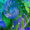 Blue And Green Nautilus shell paint by numbers