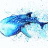 Blue Whale Shark paint by number