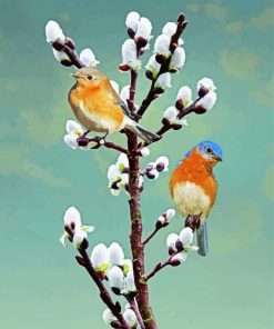 Bluebirds On Pussy Willow paint by number