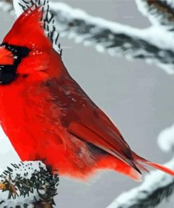 Cardinals In Winter paint by numbers