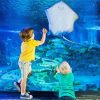 Children Watching sea life paint by numbers