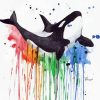 Colors Splatter Orca paint by numbers