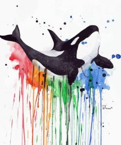 Colors Splatter Orca paint by numbers