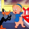 Daffy Duck And Porky Pig paint by numbers