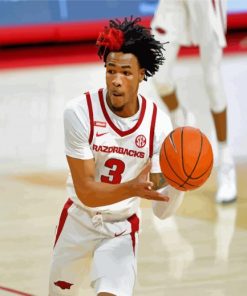 Desi Sills Arkansas Razorbacks Men S Basketballer paint by number