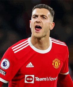 Diogo Dalot Man United paint by numbers