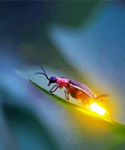 Firefly Light Insect paint by numbers