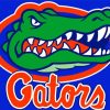 Florida Gators paint by numbers