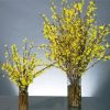 Forsythia Glass Vases paint by numbers