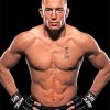 Georges St Pierre paint by number