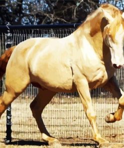 Golden Andalusian Horse paint by number