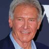 Harrison Ford Celebrity paint by numbers