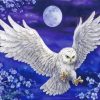 Harrty Potter Hedwig Owl paint by number