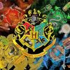 Harry Potter Hogwarts Houses paint by number